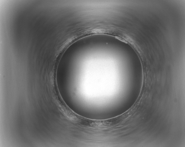 X0000067380297200604031106