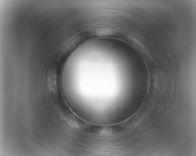 X0000067380308200604031106