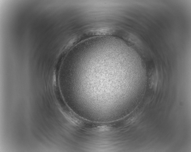 X0000067380310200604031106