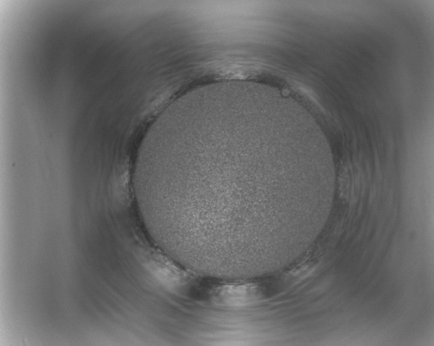 X0000067380314200604031106