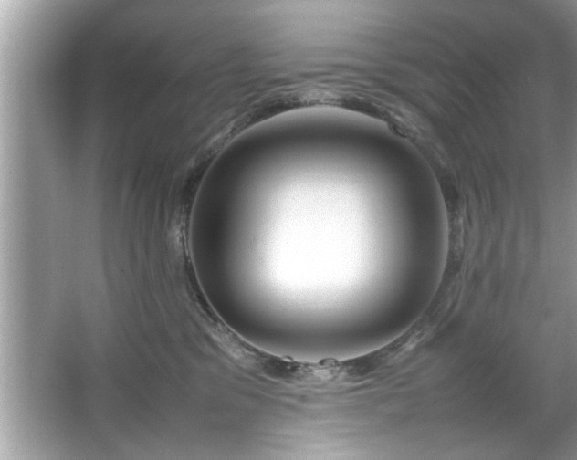 X0000067380329200604031106