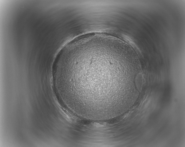 X0000067380346200604031105