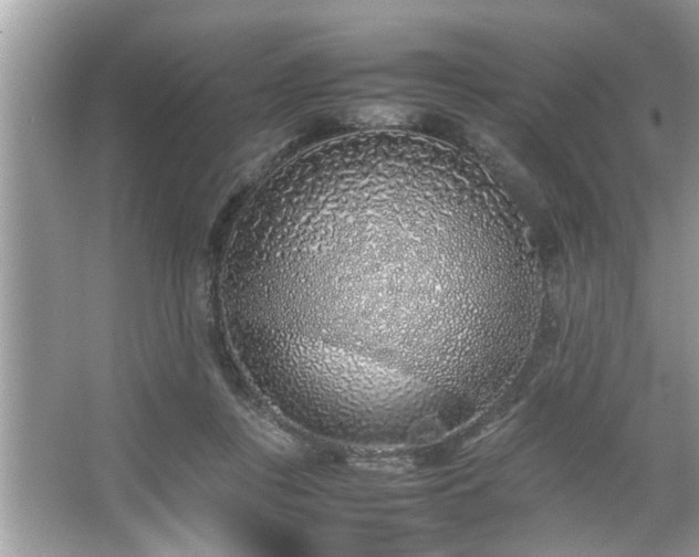 X0000067380359200604031105