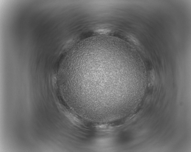 X0000067380365200604031105