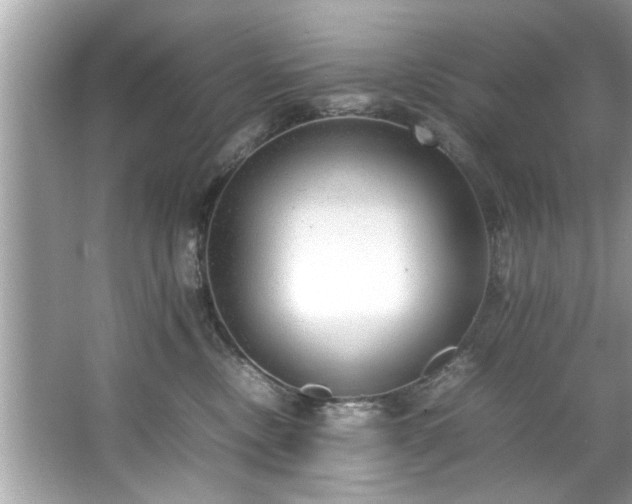 X0000067380378200604031106