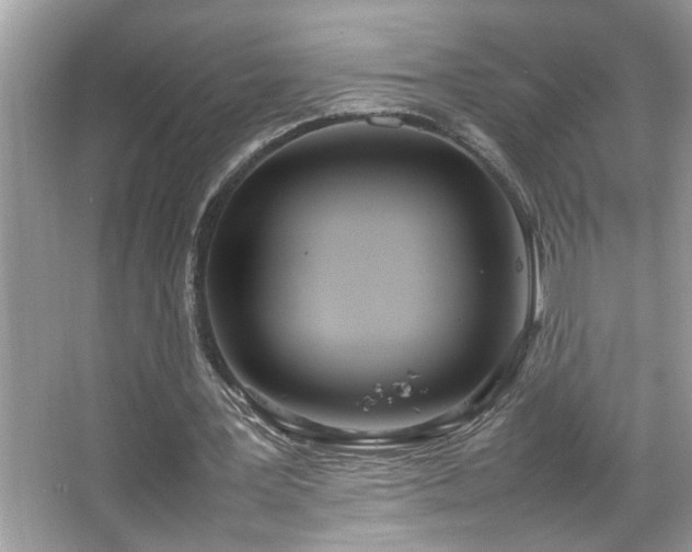 X0000067380387200604031105