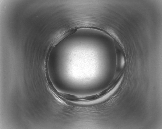 X0000067380389200604031105
