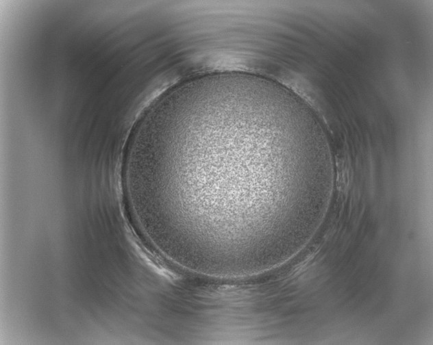 X0000067380390200604031105