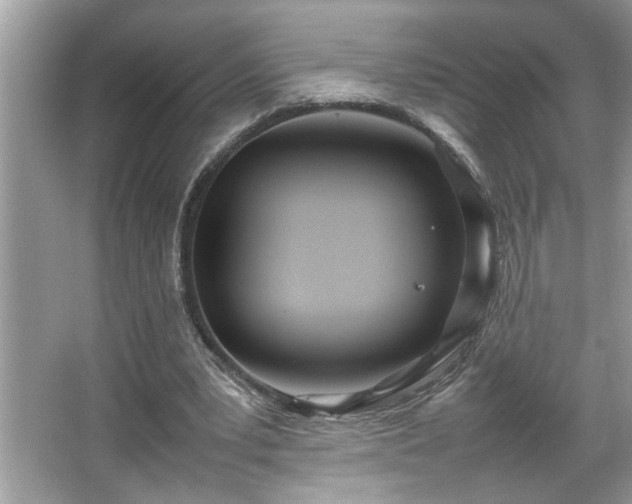 X0000067380391200604031105