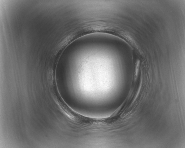 X0000067380397200604031105