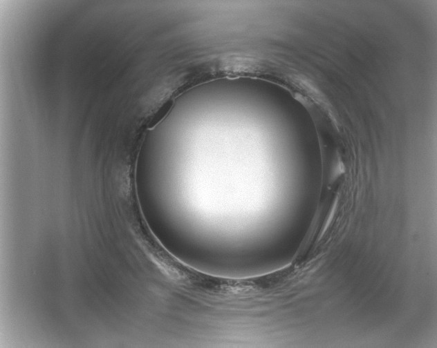 X0000067380401200604031105