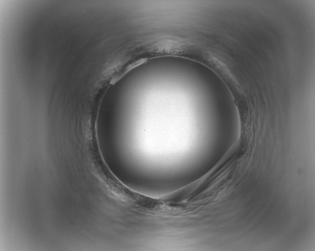 X0000067380403200604031105