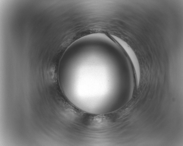 X0000067380420200604031104