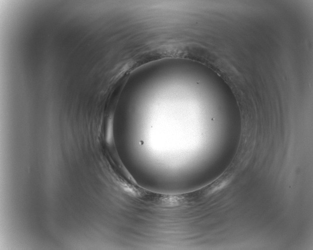 X0000067380432200604031104