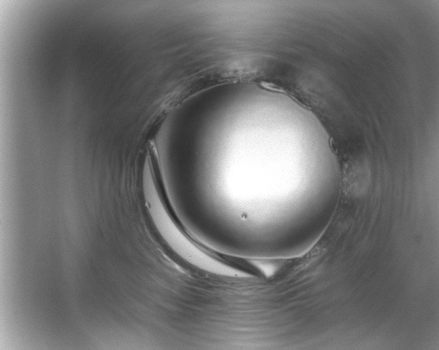 X0000067380474200604031104