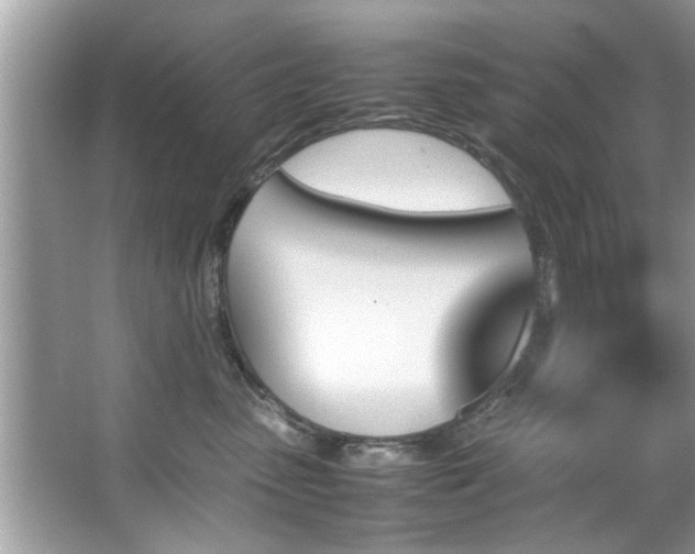 X0000067380475200604031104
