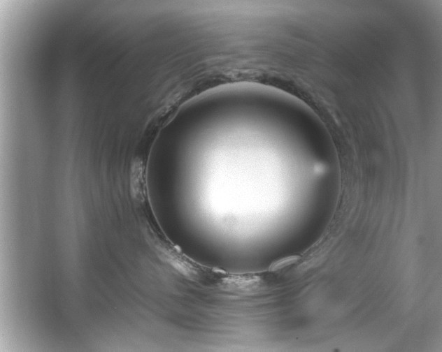 X0000067380480200604031104
