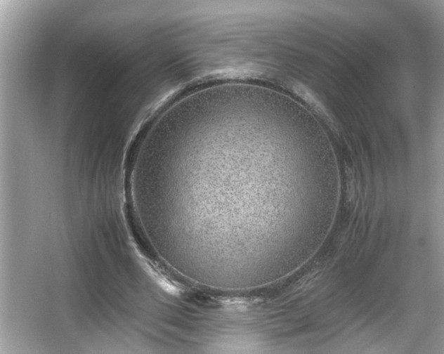 X0000067380486200604031103