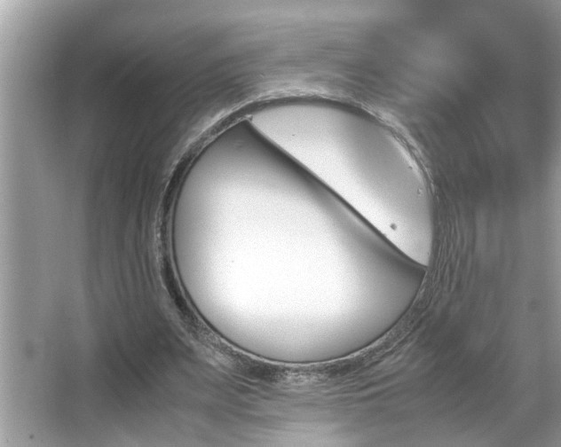 X0000067380487200604031103