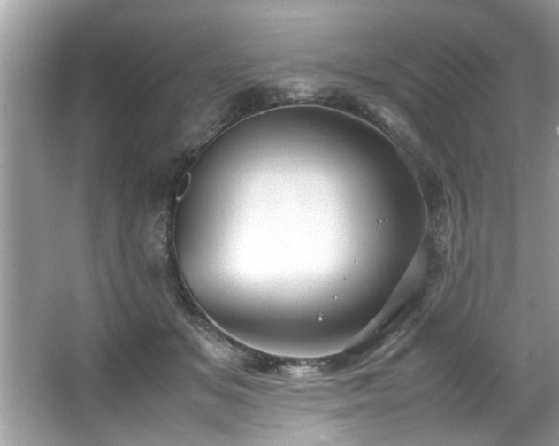 X0000067380509200604031103