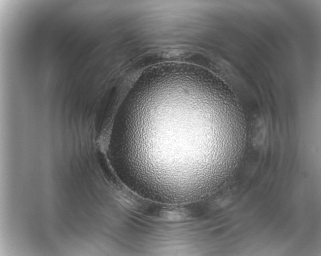 X0000067380510200604031103