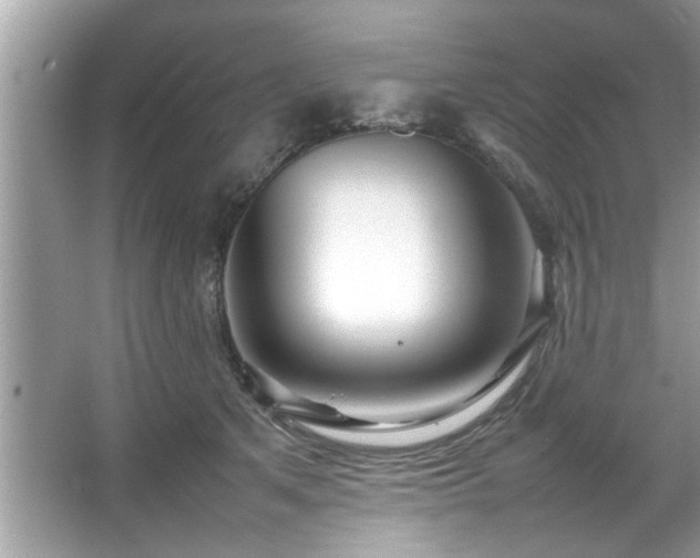 X0000067380513200604031103