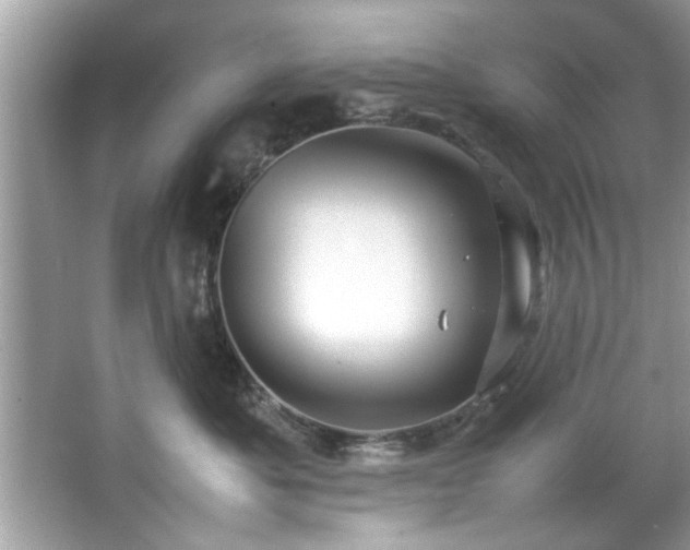 X0000067380525200604031103