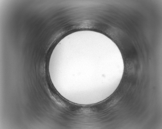 X0000067380534200604031102