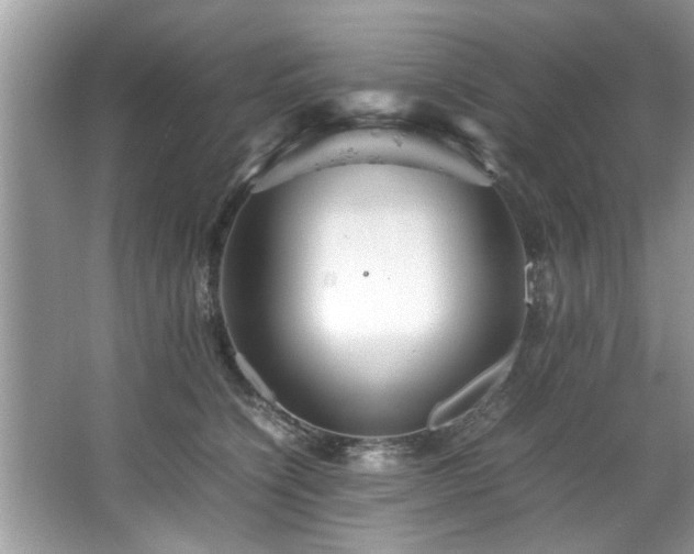 X0000067380564200604031102
