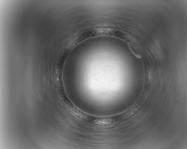 X0000067380567200604031102