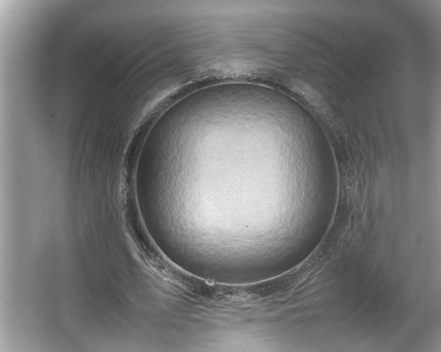 X0000067380583200604031102