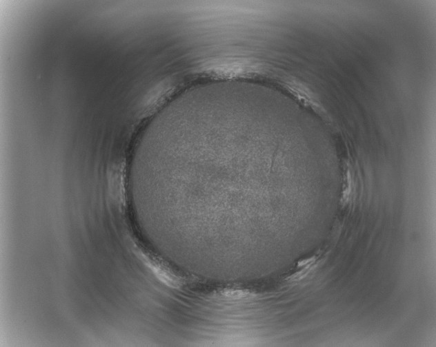 X0000067380590200604031101