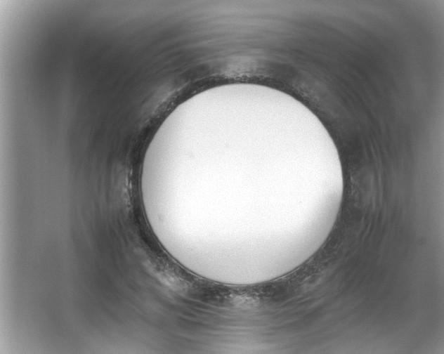 X0000067380592200604031101