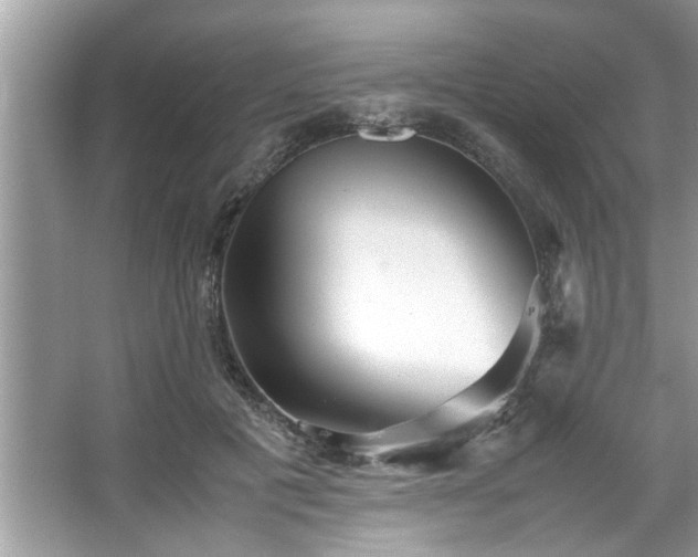 X0000067380601200604031101