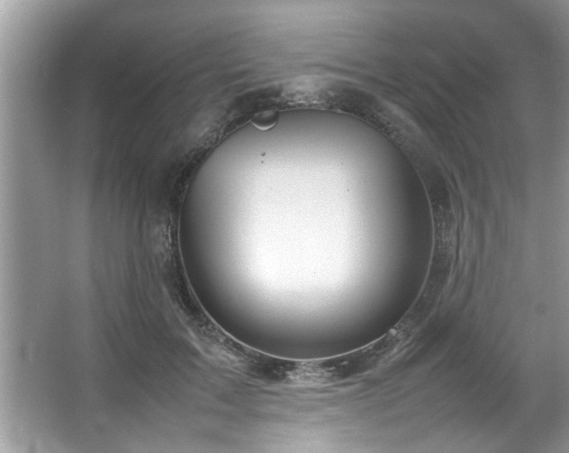 X0000067380603200604031101