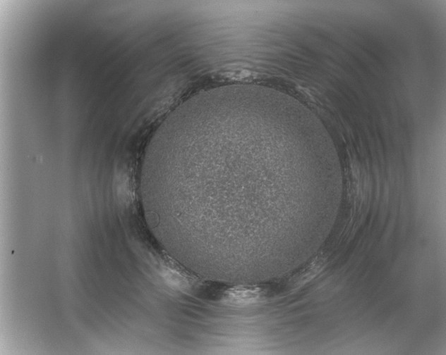 X0000067380606200604031101
