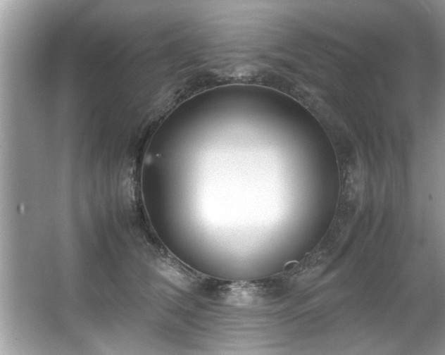 X0000067380612200604031101