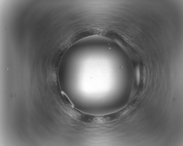 X0000067380613200604031101