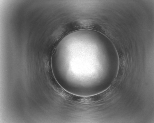 X0000067380615200604031101