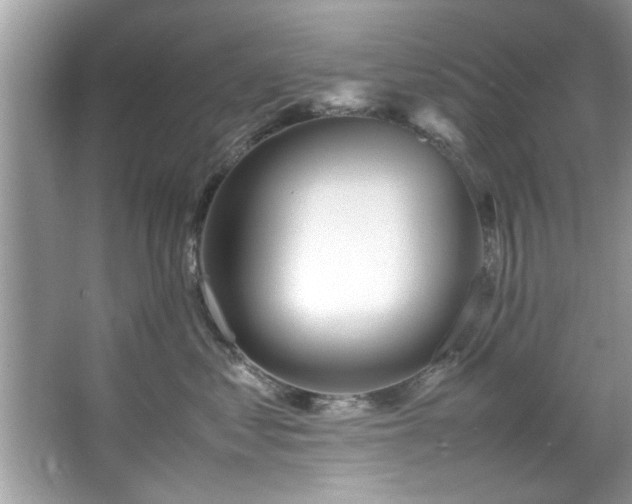 X0000067380621200604031101