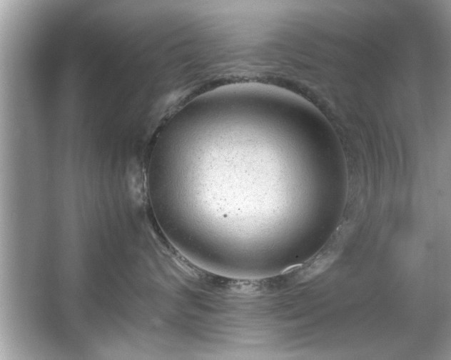 X0000067380624200604031101