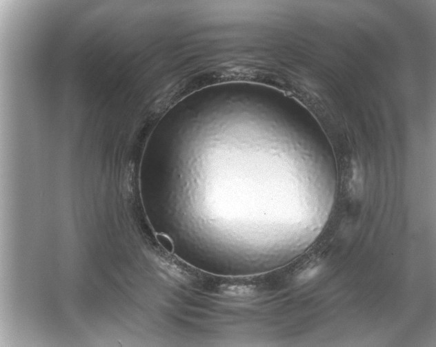 X0000067380649200604031100