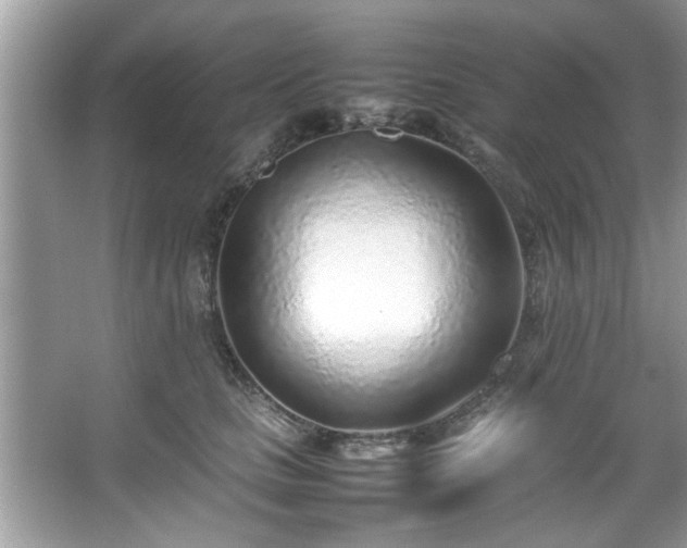 X0000067380661200604031101