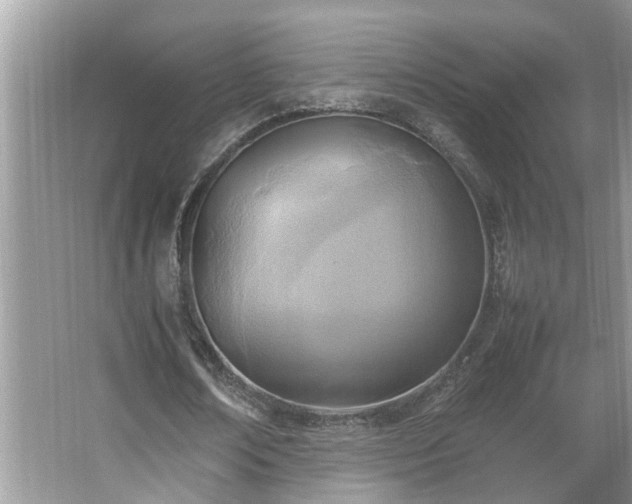 X0000067380674200604031100