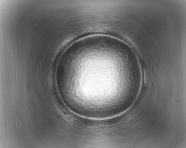 X0000067380675200604031100