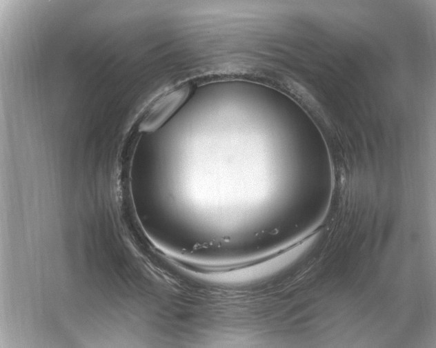 X0000067380676200604031100