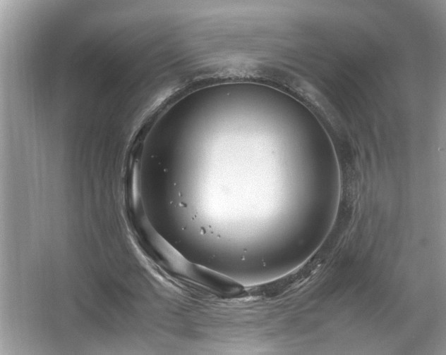 X0000067380677200604031100