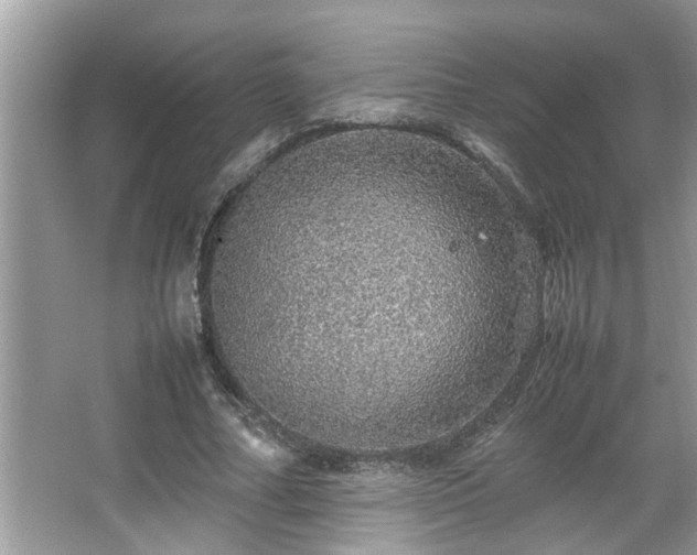 X0000067380682200604031100