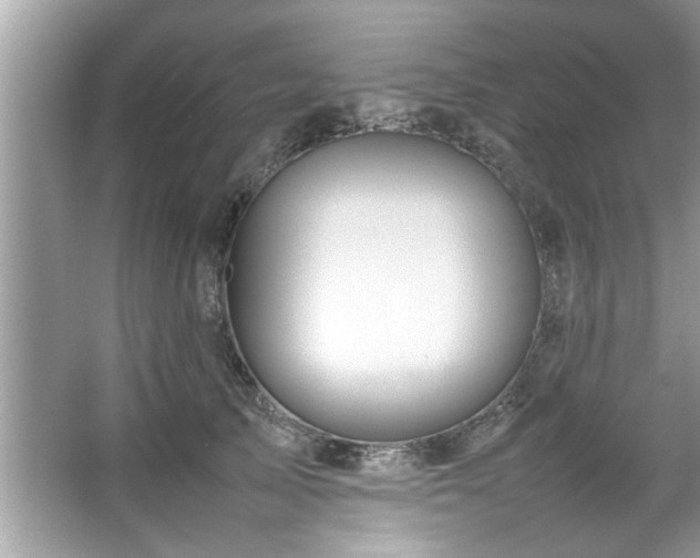 X0000067380705200604031059