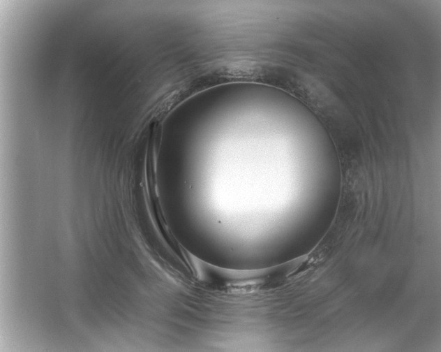 X0000067380744200604031059